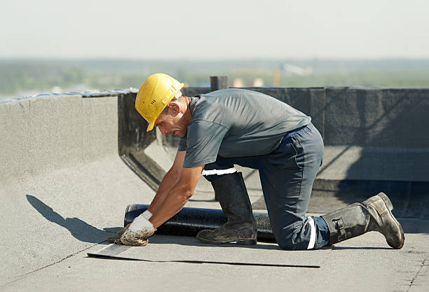 Best Blown-in Insulation in Holbrook, AZ