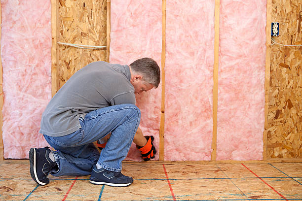 Types of Insulation We Offer in Holbrook, AZ