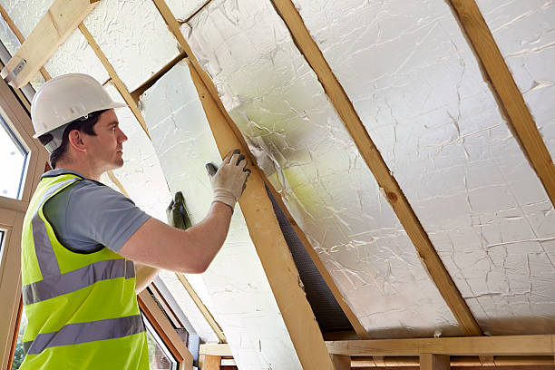 Best Specialized Insulation Services in Holbrook, AZ