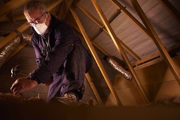 Best Insulation Maintenance and Repair in Holbrook, AZ