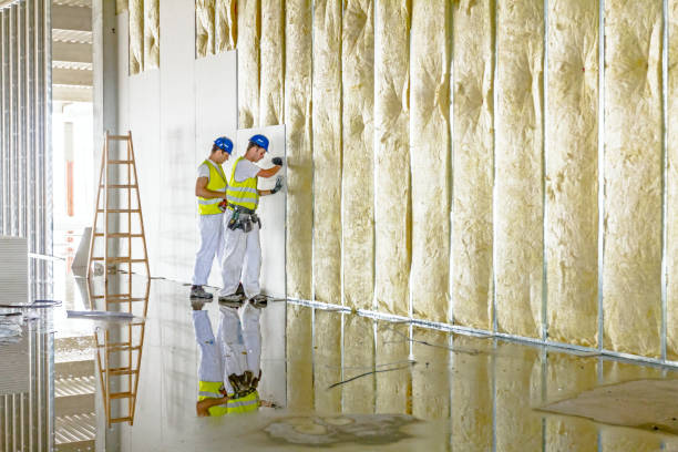 Best Cellulose Insulation in Holbrook, AZ
